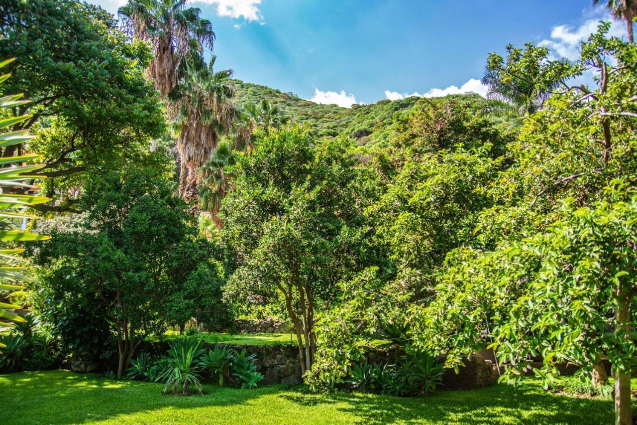 Casa Galeana- Tropical 1-Bd 1-Wc Mountain Top Luxury Suite With Stunning Views 아히힉 외부 사진
