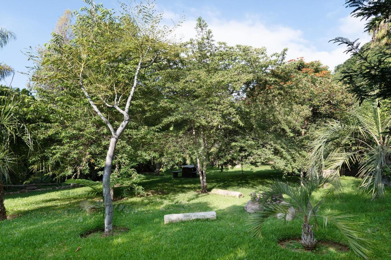Casa Galeana- Tropical 1-Bd 1-Wc Mountain Top Luxury Suite With Stunning Views 아히힉 외부 사진