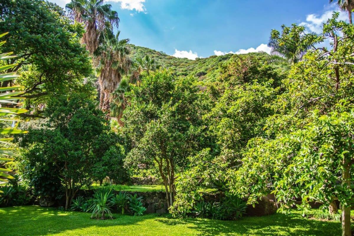 Casa Galeana- Tropical 1-Bd 1-Wc Mountain Top Luxury Suite With Stunning Views 아히힉 외부 사진