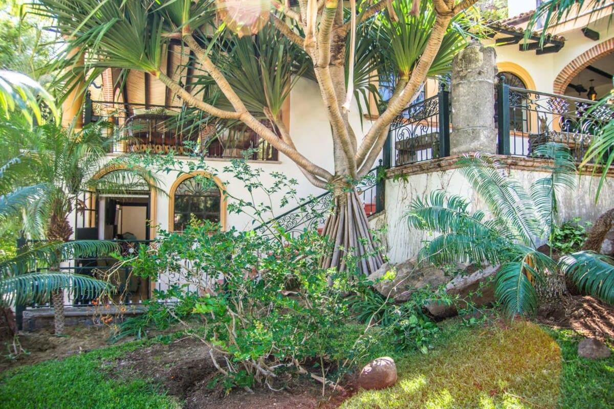 Casa Galeana- Tropical 1-Bd 1-Wc Mountain Top Luxury Suite With Stunning Views 아히힉 외부 사진